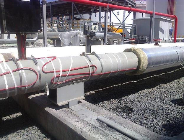 16920632685633.jpg 電伴熱帶.jpg