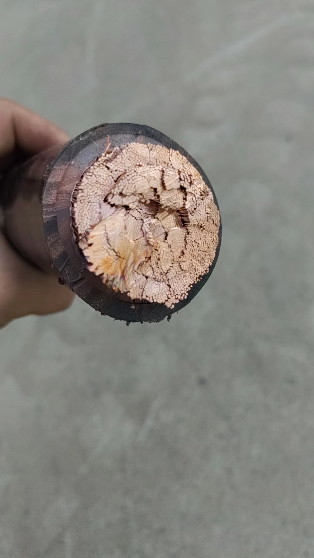 16981310543575.jpg 微信圖片_20231024145554.jpg