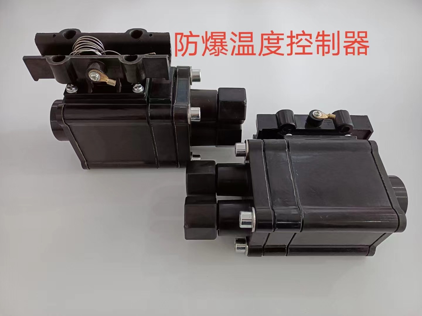 17333629835655.jpg 電伴熱防爆溫度控制器9-1.jpg