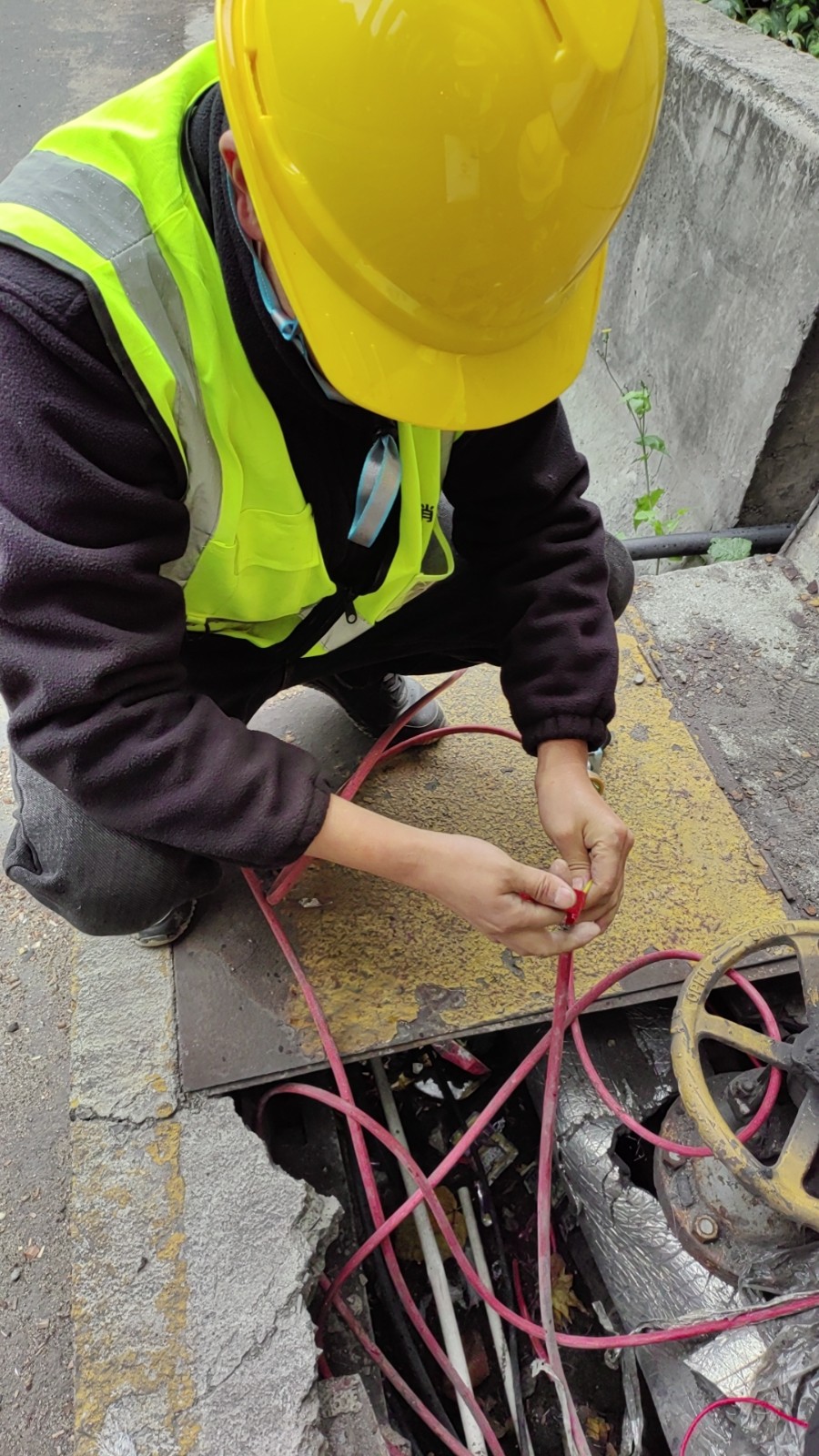 17624847767132.jpg 107dca894198ae6d2504be143bd4794.jpg